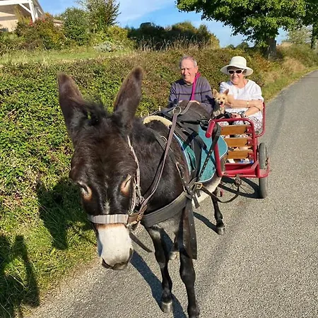 Mobile 4 Saisons Au Ranch Du Bonheur *