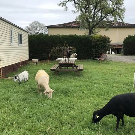 Mobile 4 Saisons Au Ranch Du Bonheur * Tourtouse