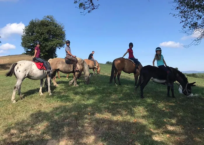 Mobile 4 Saisons Au Ranch Du Bonheur * Tourtouse